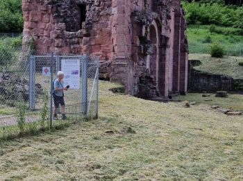 Randonnée Marche Saint-Nabor - ARCA NIEDERSMUNSTER MT STE ODILE - Photo