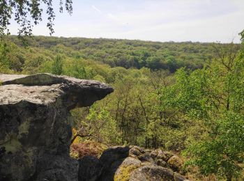 Randonnée Marche Ballancourt-sur-Essonne - ballancourt - Photo