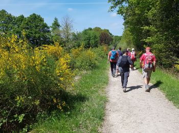 Percorso Marcia Rambouillet - 2022-05-01_EtangCoupeGorge_MaresDeVilpert - Photo