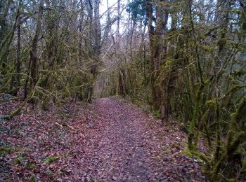 Tour Wandern Avanne-Aveney - Aveney Beure Larnod - Photo