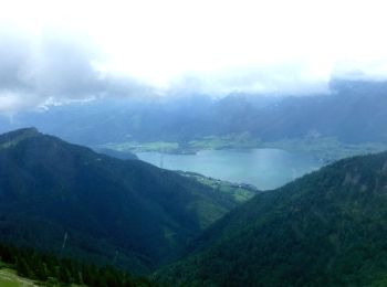 Randonnée A pied St. Wolfgang im Salzkammergut - Auerriesenweg - Photo