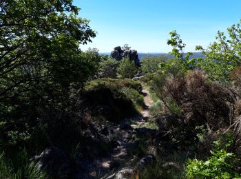 Tour Wandern Aumessas - Aumessas-27-05-21 - Photo