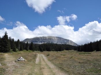 Tocht Stappen Saint-Agnan-en-Vercors - Aiguillette ou Petit Veymont par la Coche - Grande Cabane - Photo