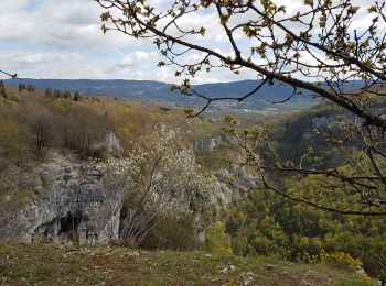 Excursión Senderismo Plateau d'Hauteville - Nantuy La Berche - Photo