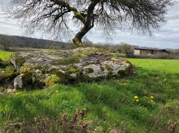 Trail Walking Issendolus - Chemin des gariottes - Photo