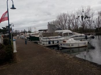 Tour Wandern Briennon - rando à partir du port de Brienon  - Photo