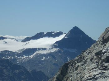 Tour Zu Fuß Chiesa in Valmalenco - (SI D25N) Rifugio Palù - Rifugio Marinelli Bombardieri - Photo
