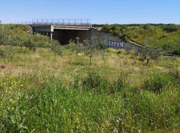 Excursión Marcha nórdica Zafra - villafranca - Photo