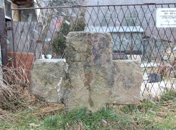 Percorso A piedi Sconosciuto - Armii Krajowej - 11 Listopada - Photo