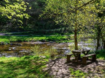 Tocht Te voet  - Lynmouth Circular via Watersmeet & Countisbury - Photo