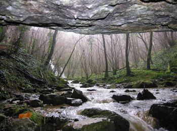 Excursión Bici de montaña Floirac - Boucle Floirac - Montvalent par Le Pech Cayrou et Roque De Cor - Photo