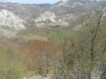 Tour Zu Fuß  - Bačić kuk iz Ravnog Dabra preko Bačić dulibe i Ripinovca - Photo