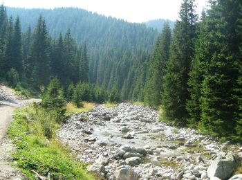 Percorso A piedi Sconosciuto - Creasta - Obârșia Lotrului - Photo