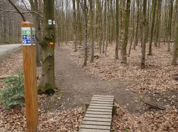 Randonnée Marche Eupen - Eupen - Photo