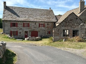 Tour sport Peyre en Aubrac - Jour cinq Compostelle, Le Puy - Photo