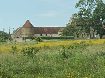 Trail Walking Pommeuse - gare de Faremoutiers/pommeuse - Photo