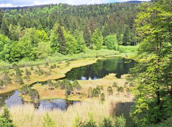 Excursión Senderismo Séchilienne - Réserve naturelle du lac Luitel - Photo