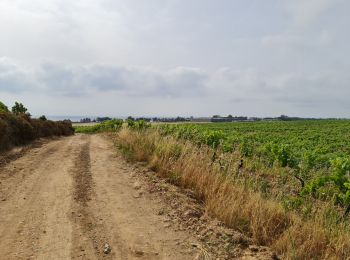 Randonnée Marche Aléria - Aleria  La tour de Diane - Photo