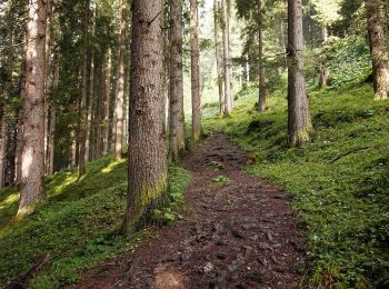 Tour Zu Fuß Gemeinde Tux - AT-21 - Photo