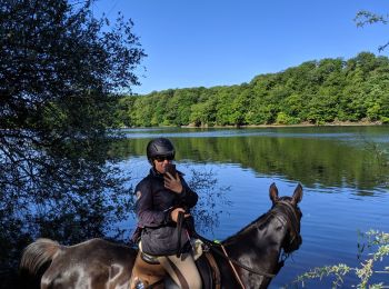 Tour Reiten Arfons - arfons4 - Photo