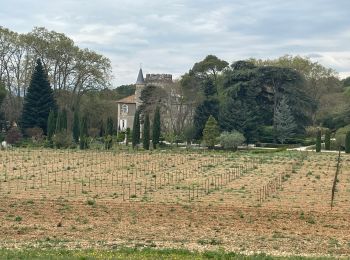 Trail Walking Aniane - À l’âne château Capion - Photo