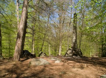 Trail Electric bike Pont-Sainte-Maxence - balade halatte 26 avril 2021 - Photo