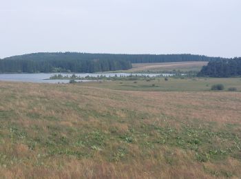 Trail Walking Besse-et-Saint-Anastaise - Tour des lac Bourdouze, Pavin et Montcyneire - Photo