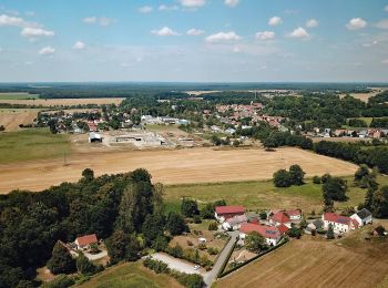 Percorso A piedi Neschwitz - Njeswačidło - SZ-Rundwanderweg - Photo