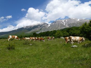 Trail On foot Pacentro - Passo San Leonardo - Roccacaramanico - Photo