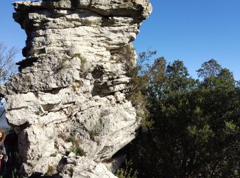 Randonnée Marche Méounes-lès-Montrieux - le Gapeau par Valbelle - Photo