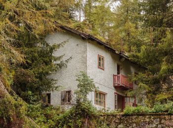 Tour Zu Fuß Peio - Sentiero delle carbonaie - Photo