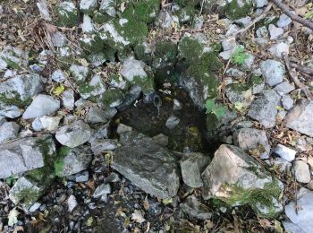 Tour Zu Fuß Capizzone - Sentiero 583: Medega (Capizzone) - Passo del Canto - Photo