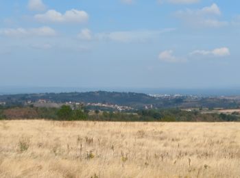 Trail Walking Saint-Jean-Saint-Maurice-sur-Loire - Bully 31/08/2022 - Photo