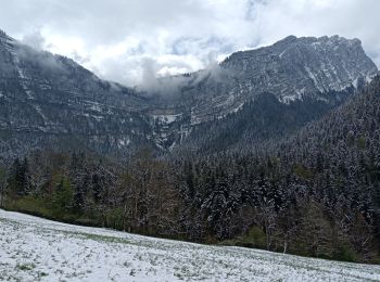 Tour Wandern Saint-Pierre-d'Entremont - Cirque de Saint Même depuis Saint Pierre d'Entremont - Photo