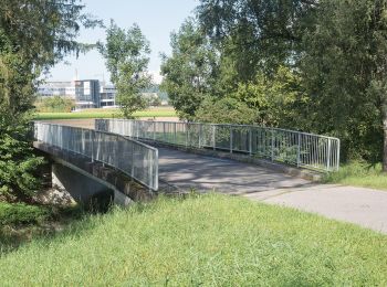 Percorso A piedi Rümlang - Schlosswinkel - Pistenende - Photo