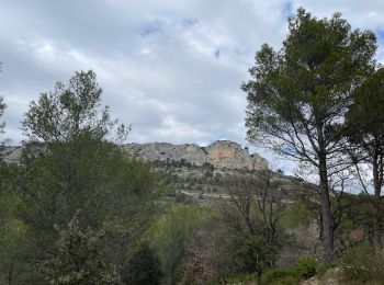 Trail Walking Mérindol - PF-Mérindol - Autour de la Roque Malière - Arboretum - Vieux Mérindol - FV - 28.03.2024 - Photo