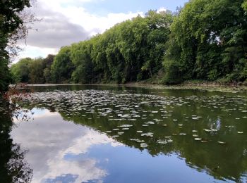 Tour Wandern Enghien - Le Parc d'Enghien et ses jardins exceptionnels  - Photo