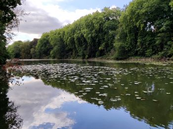 Percorso Marcia Enghien - Le Parc d'Enghien et ses jardins exceptionnels  - Photo