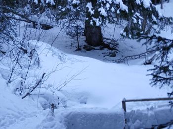 Excursión Raquetas de nieve Montricher-Albanne - 74-vinouve_piste_lac_7km30m - Photo