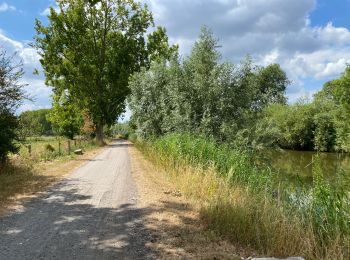 Tocht Stappen Frelinghien - Frelinghien Deule 13 km - Photo