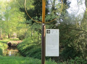 Percorso A piedi Niederkrüchten - Rundweg A1 Dilborner Wald - Photo