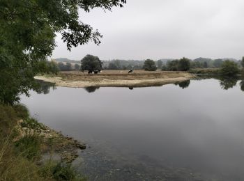 Tocht Mountainbike Laneuville-sur-Meuse - 55-vtt-Laneuville-Martincourt-prairies-13km - Photo