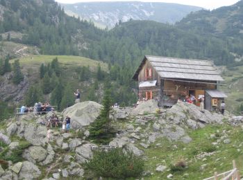 Randonnée A pied Bad Kleinkirchheim - 15 - Hoher Steig - Photo