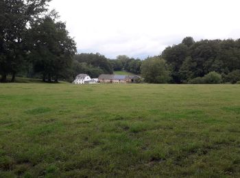 Excursión Senderismo Tintigny - Bellefontaine 020720 - Photo