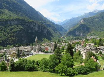 Tour Zu Fuß Bognanco - (SI E58) Rifugio San Bernardo - Varzo - Photo