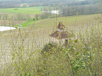 Randonnée V.T.T. Molières - Molières par Castelnau Montratier - Photo