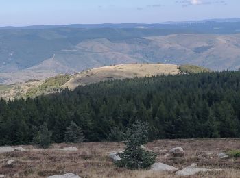 Excursión Paseo ecuestre Vialas - 2022-09-22 Rando CVA Lozere Mas de la Barque vers Chalet Mont Lozere - Photo