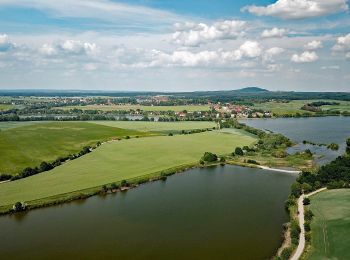 Tocht Te voet Grimma - Rundwanderung Döllnitzsee - Photo