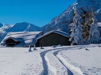 Percorso A piedi Oulx - 716 - Photo