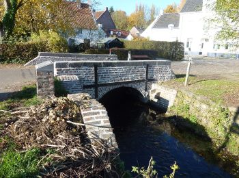 Tour Zu Fuß Kinrooi - Kessenich en de Drie Eigen Groene rechthoek - Photo